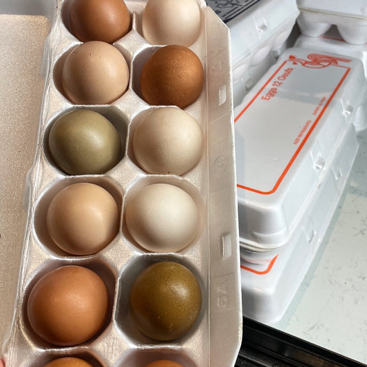 Rainbow Ridge - Rainbow Eggs