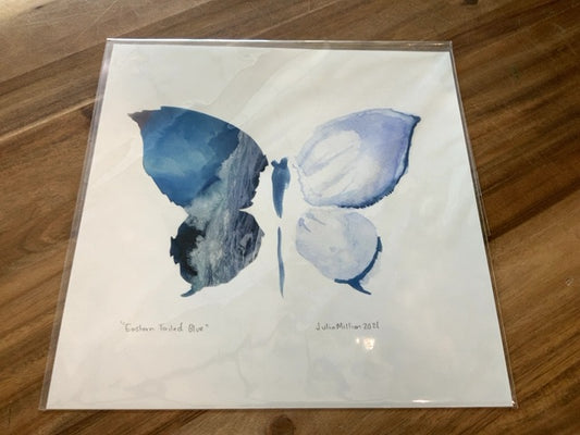 Art by Julia - Butterfly - Eastern Tailed Blue (Print)