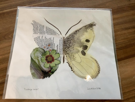 Art by Julia - Butterfly - Cabbage White (Print)