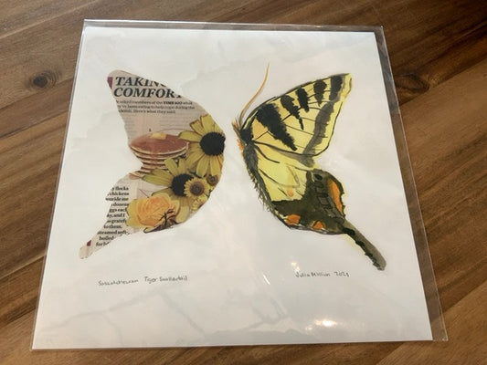 Art by Julia - Butterfly - Saskatchewan Tiger Swallowtail (Print)